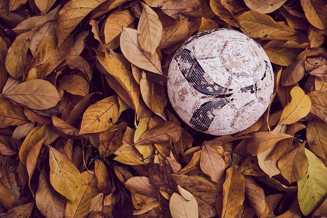部会评